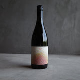 vin-shu 2017
