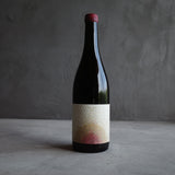 vin-shu 2019
